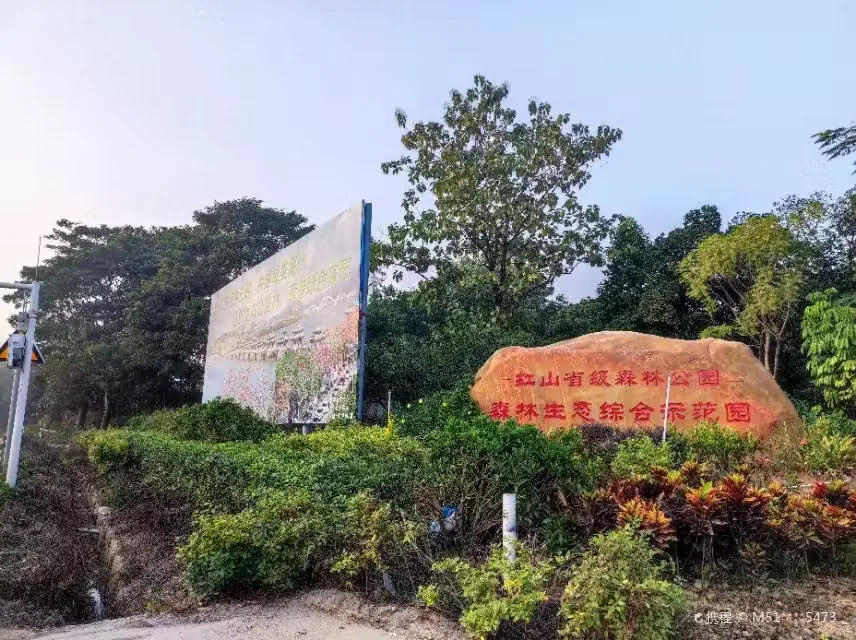 红山森林公园