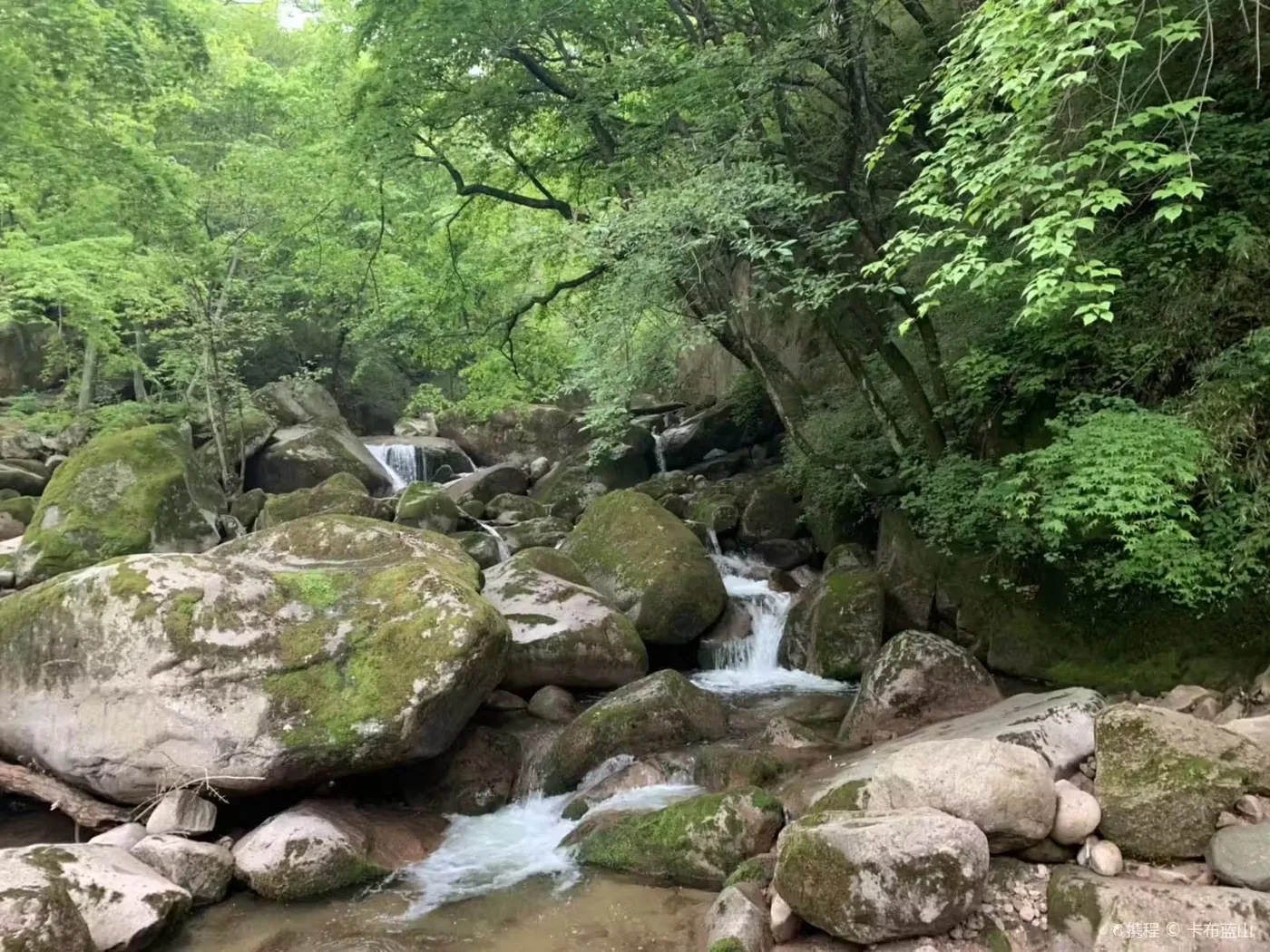 千湖国家湿地公园