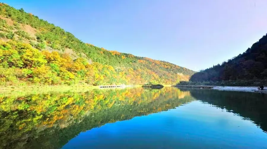黄帝陵风景图片