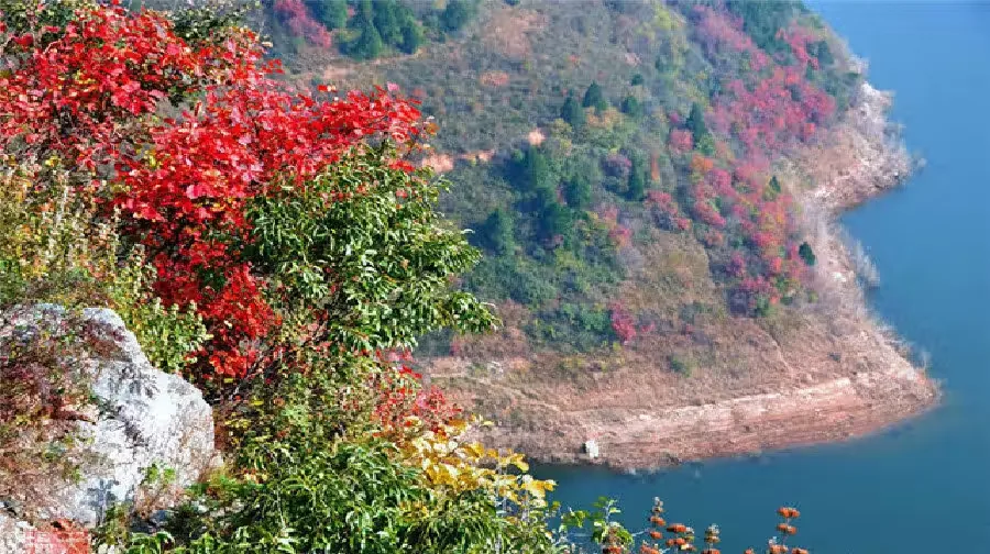 佛坪熊猫谷风景图片