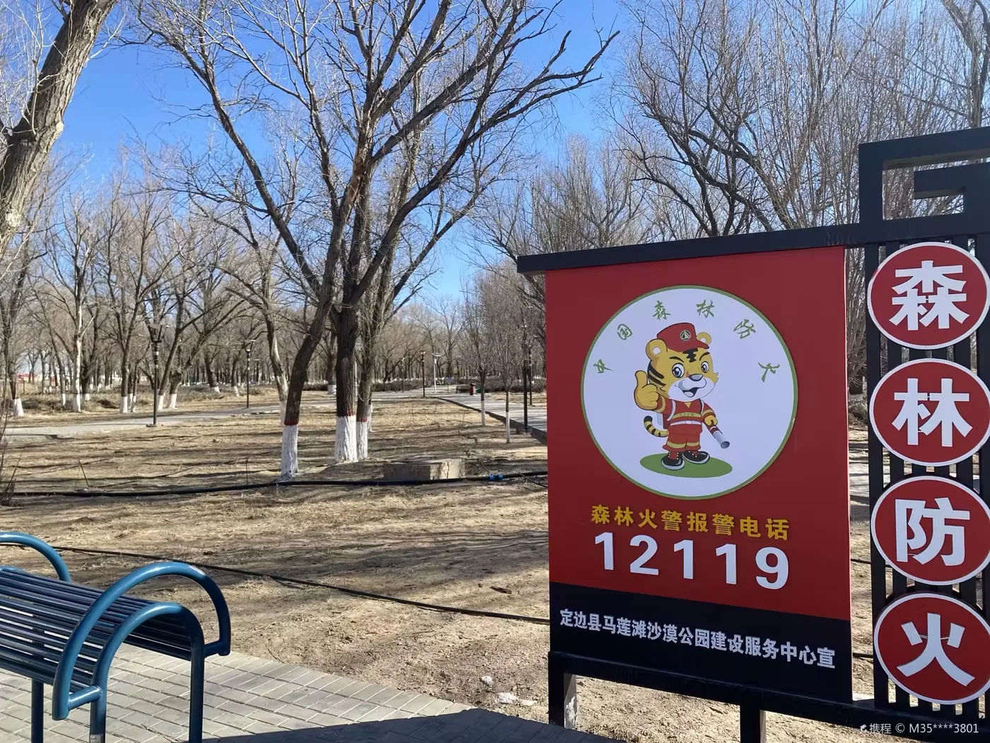 定边盐湖风景图片