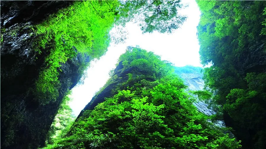 金丝峡景区风景图片