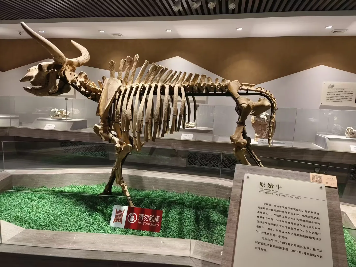 白银市博物馆