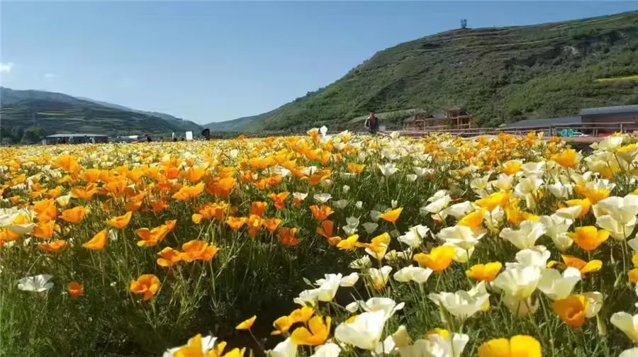 关滩沟风景图片
