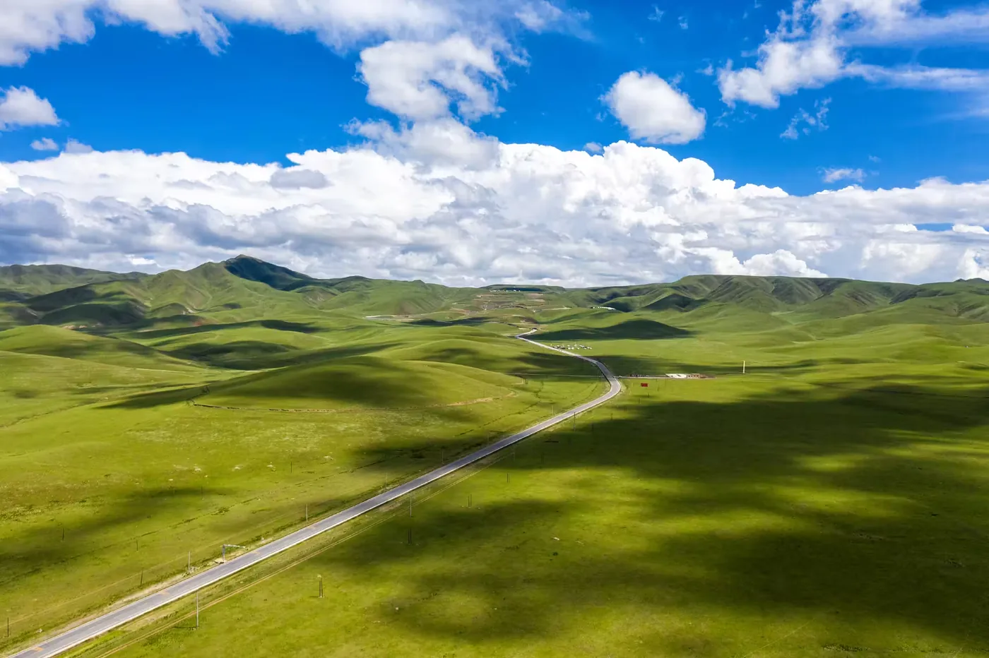 阿万仓湿地风景图片