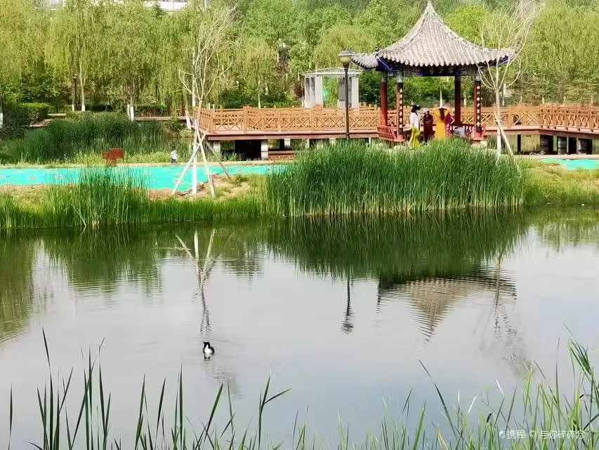 南川河湿地公园