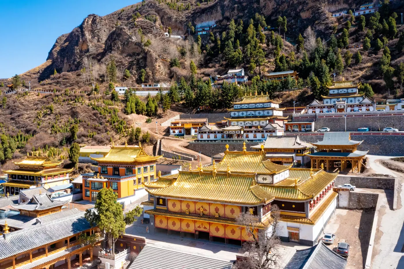 佑宁寺实景图片