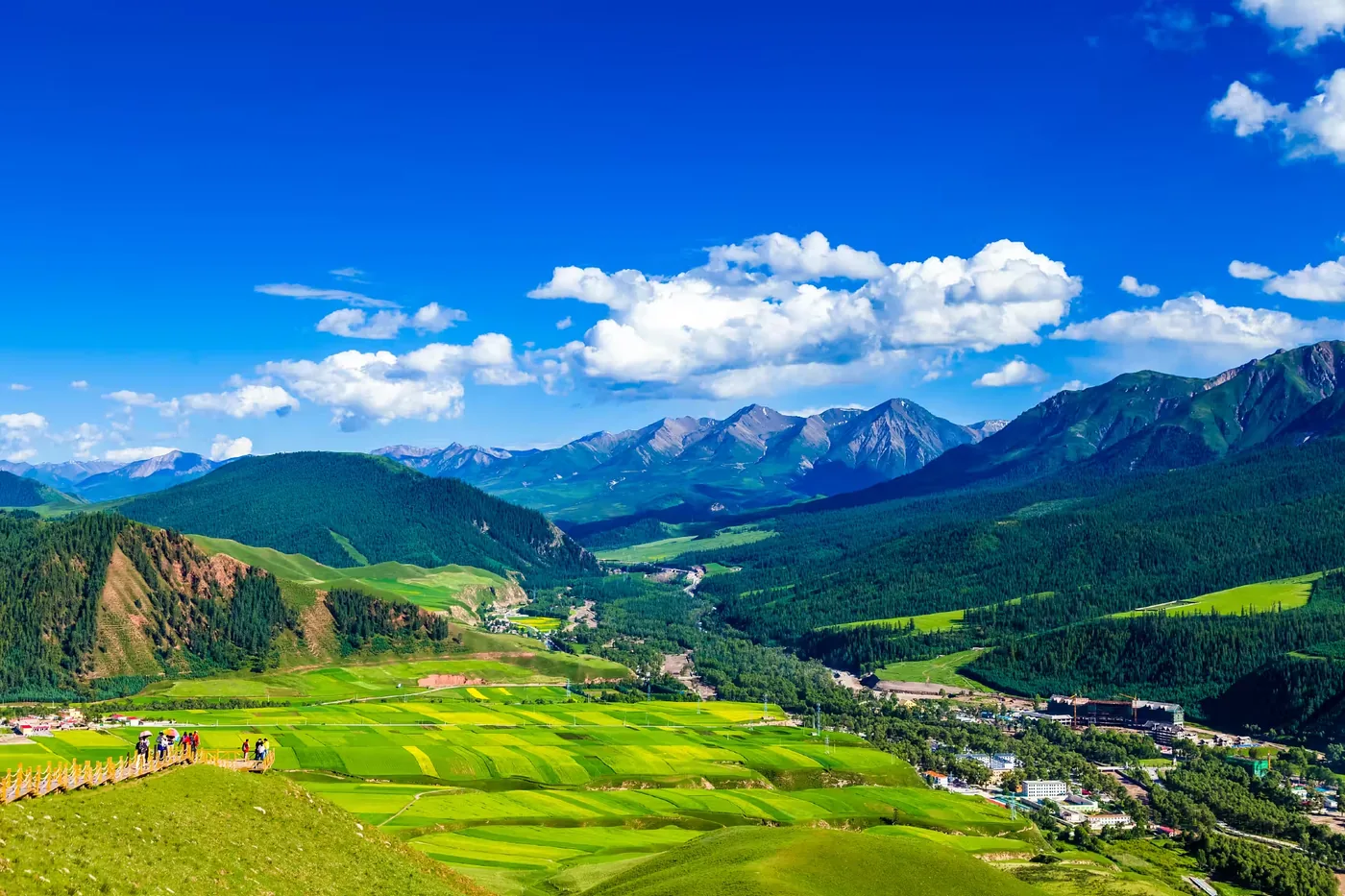 卓尔山