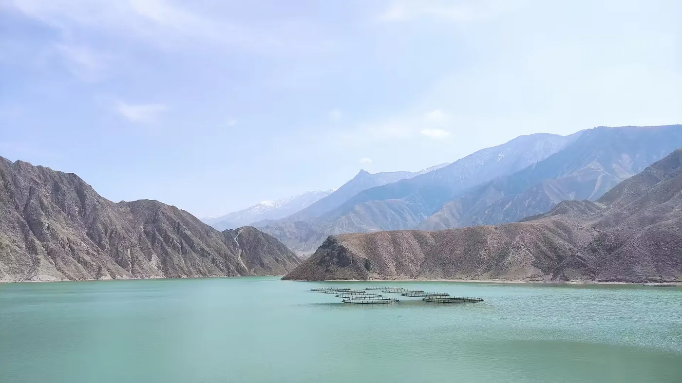 隆务河