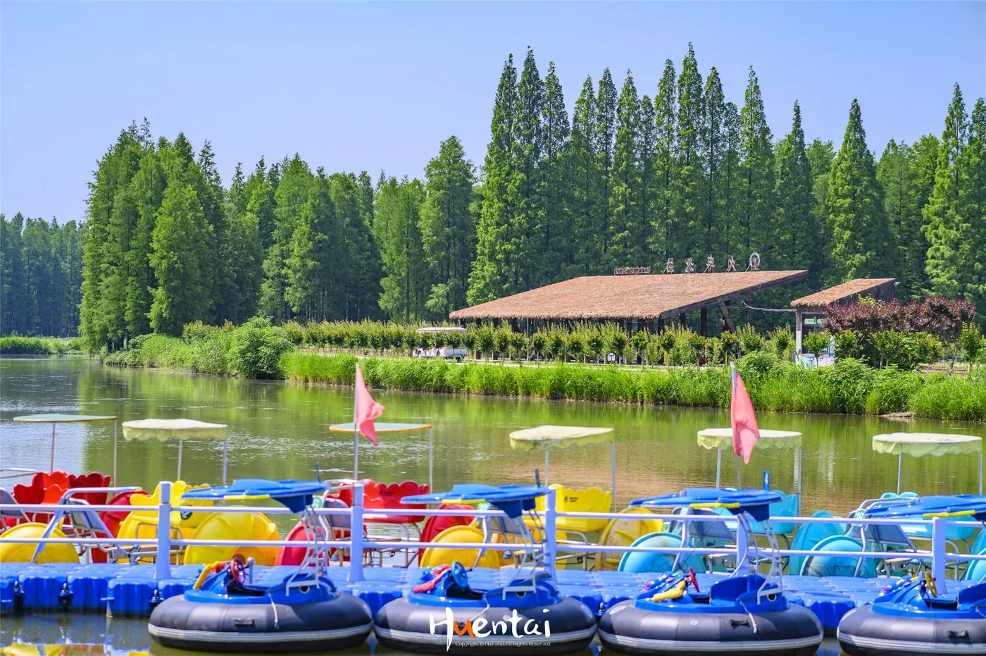 金湖水上森林风景图片
