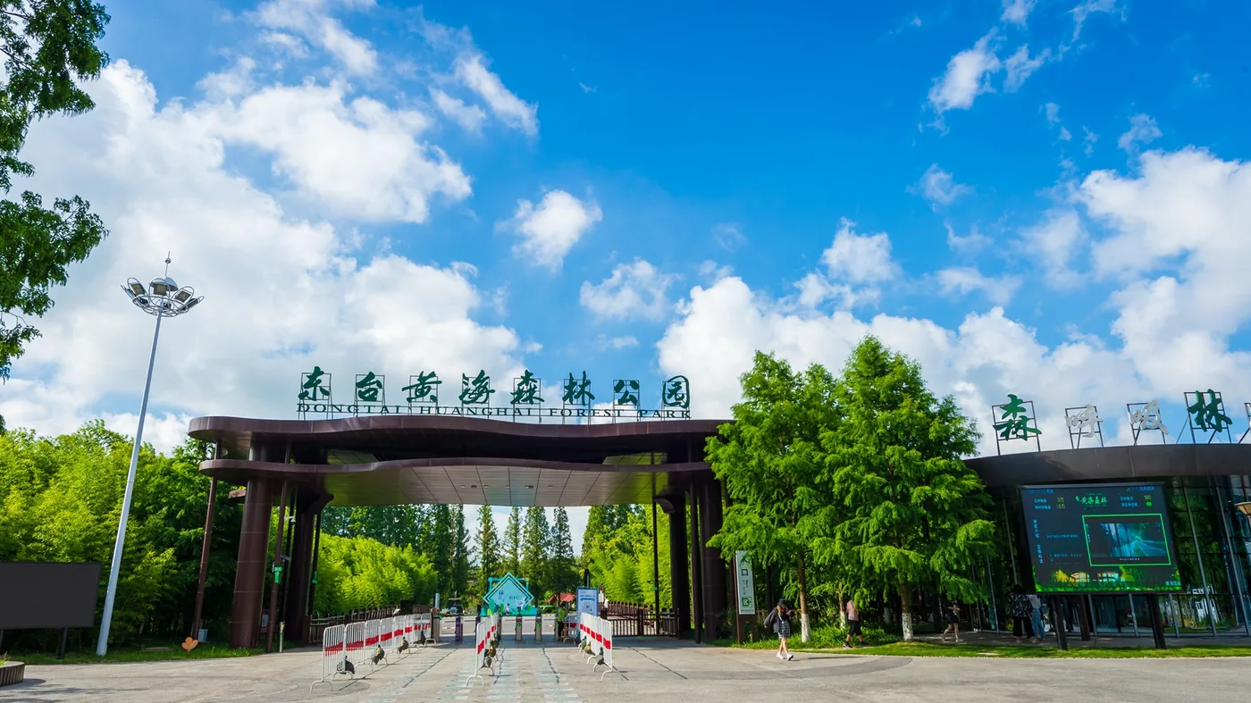 黄海森林公园