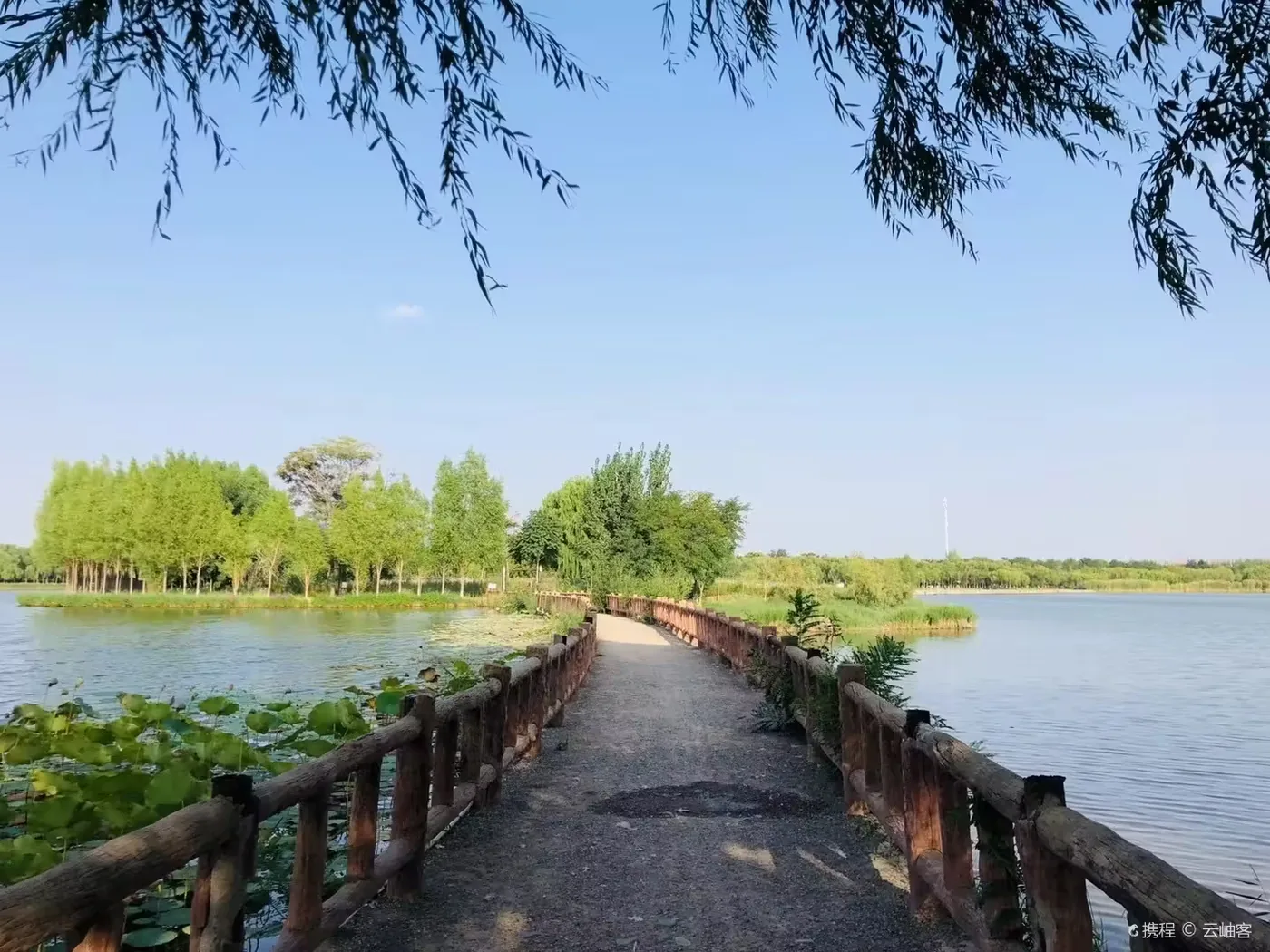 沙坡头水镇