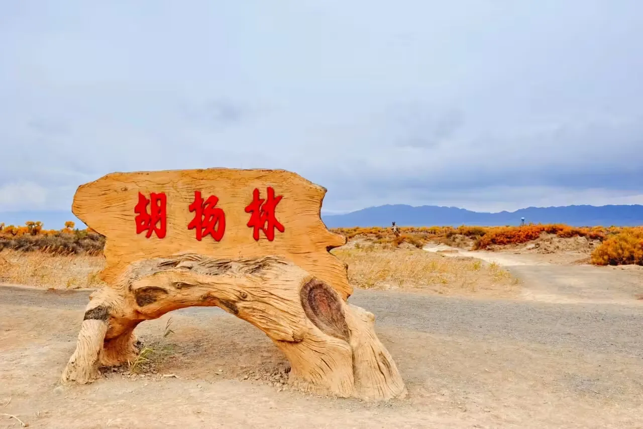 木垒胡杨林