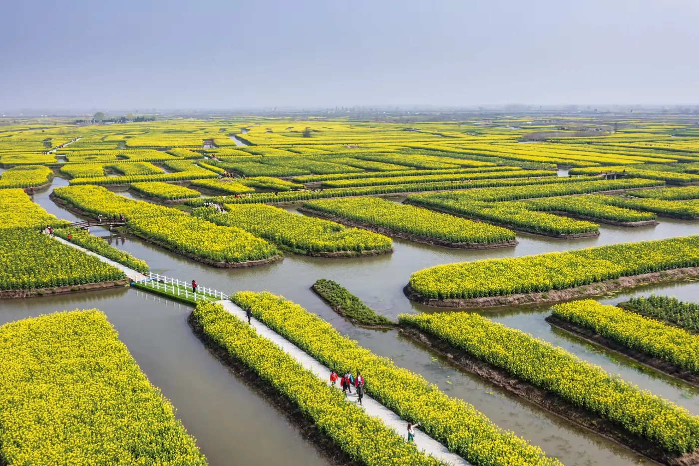 小白杨哨所风景图片