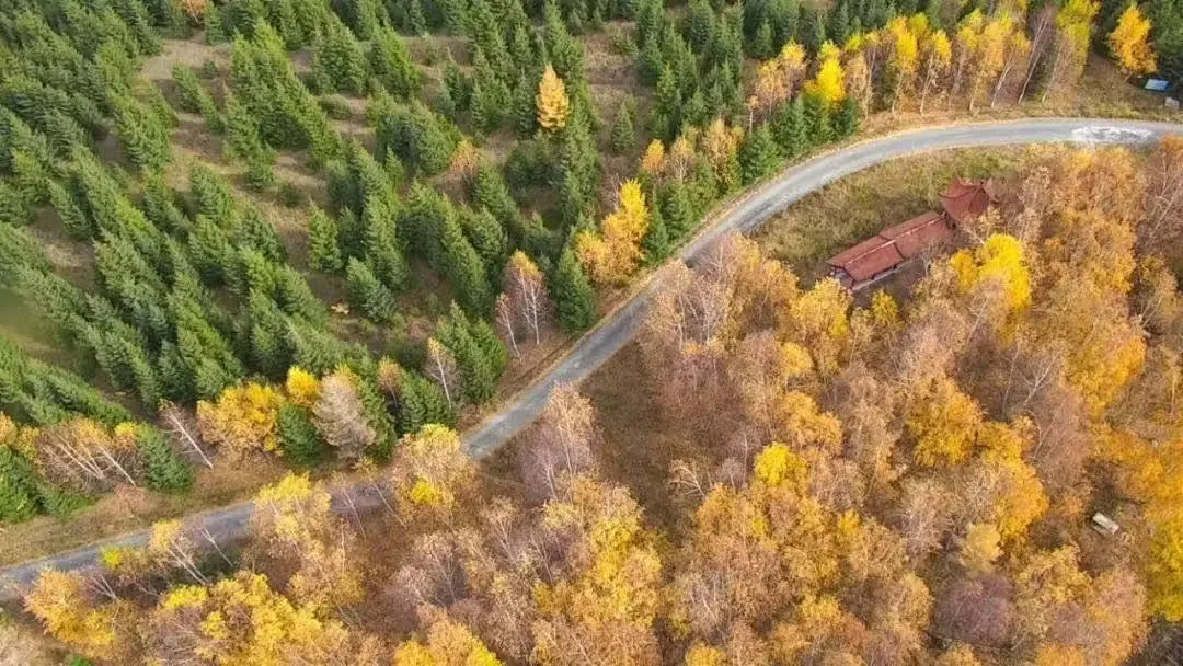 乌苏佛山国家森林公园