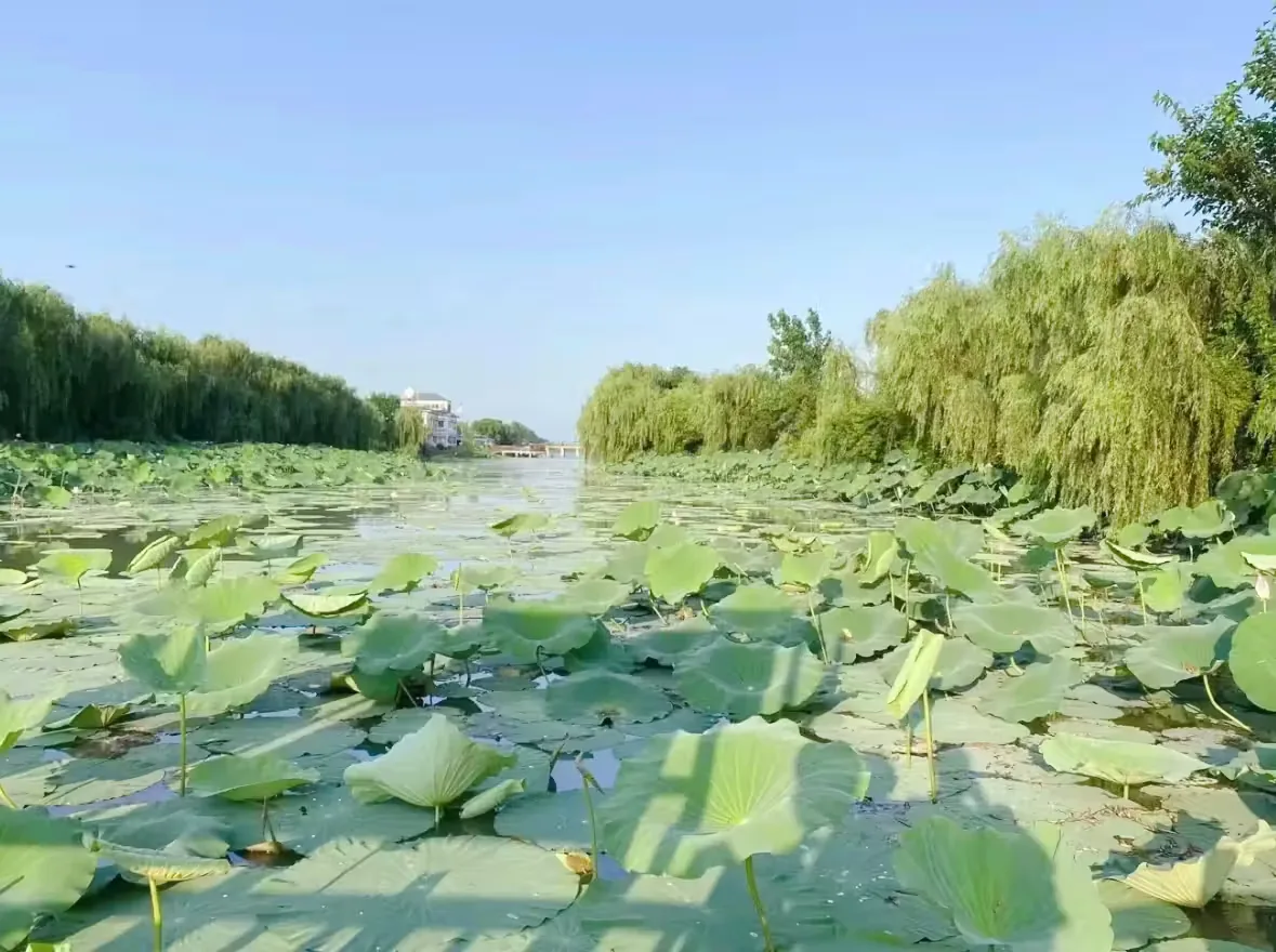 返湾湖国家湿地公园