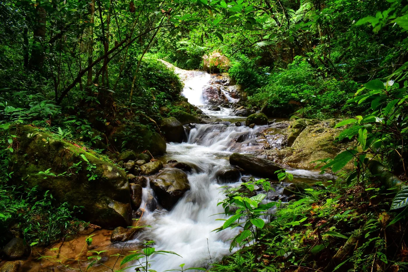 五指山热带雨林风景区风景图片