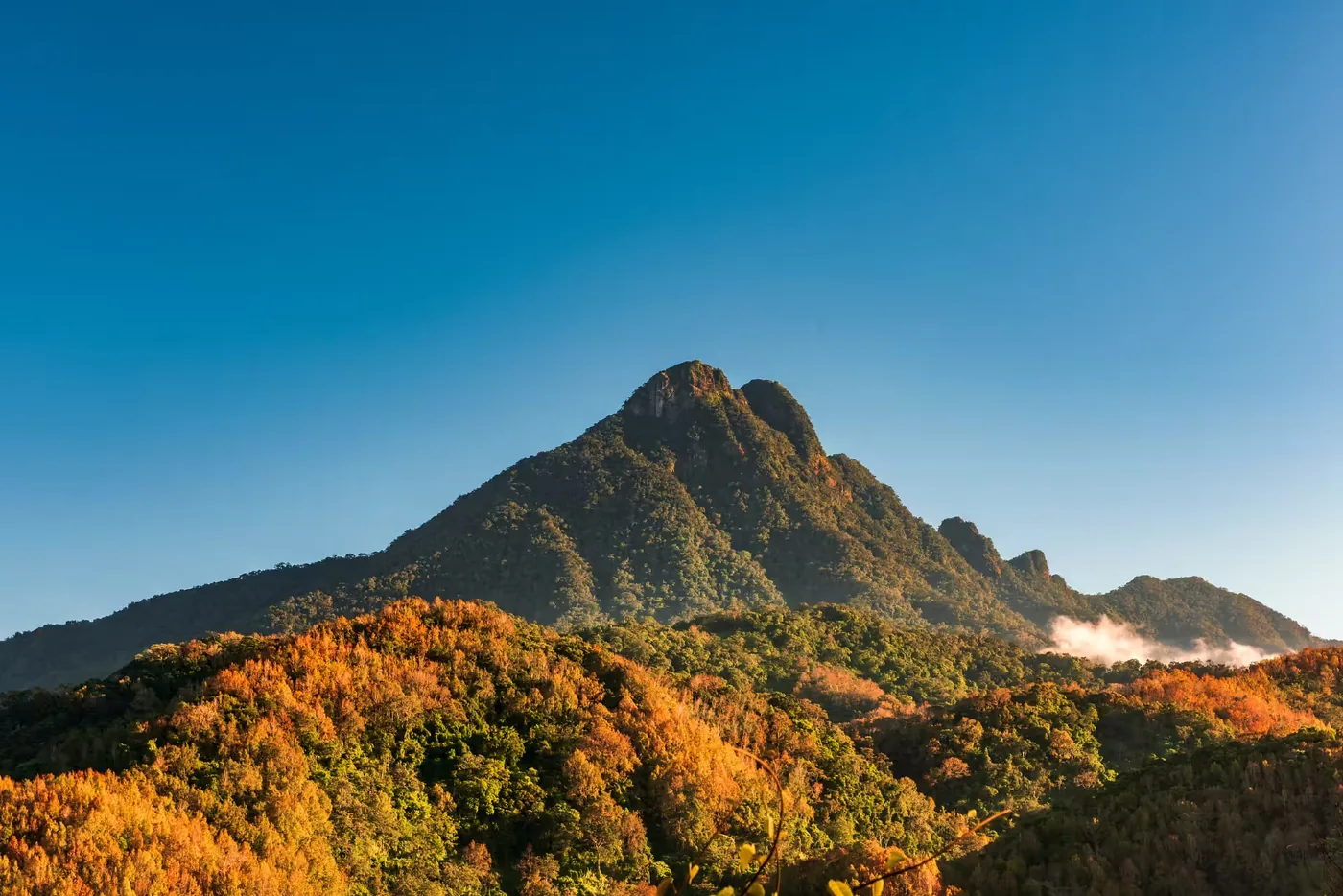 五指山热带雨林风景区风景图片
