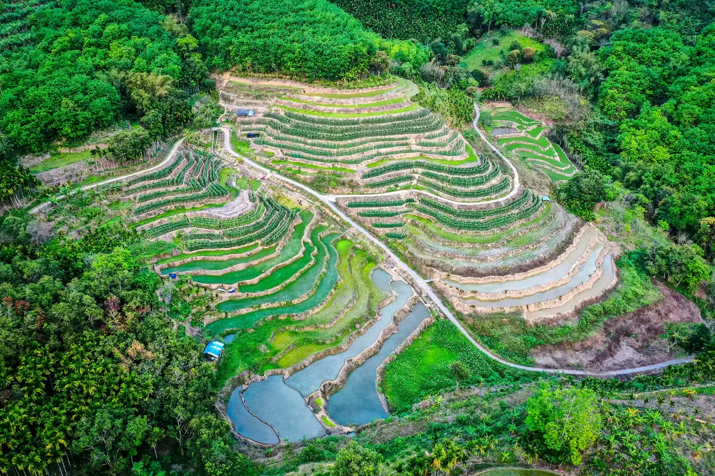 牙胡梯田