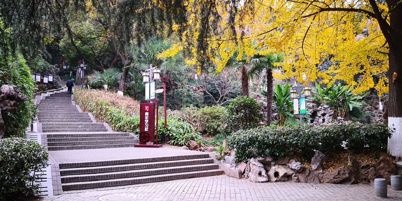 伯先公园实景图片