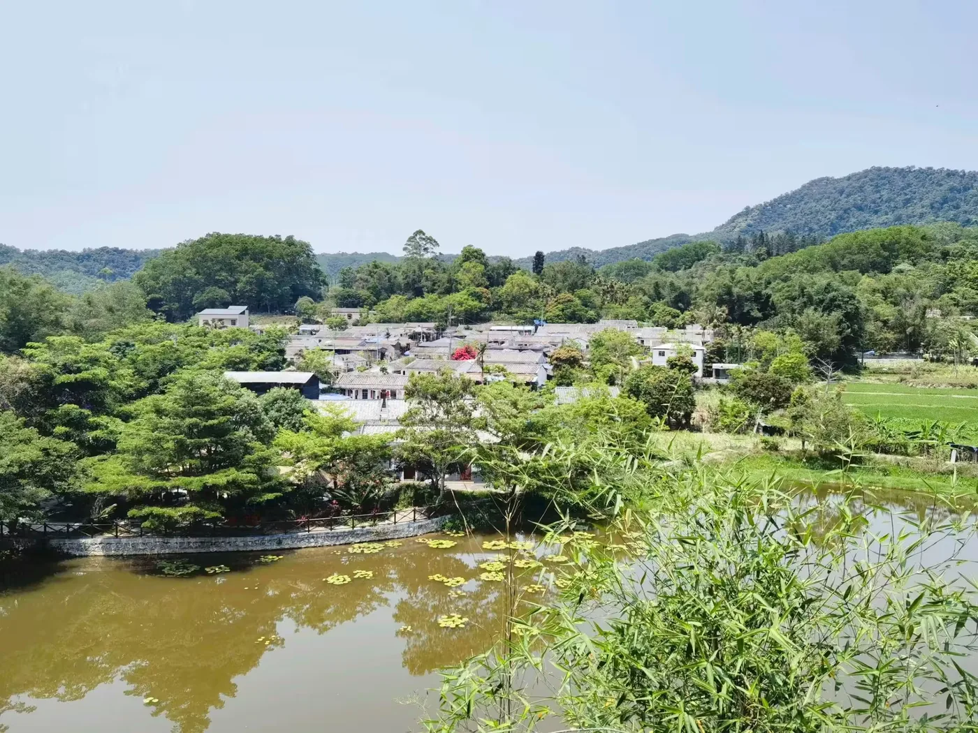 东方市博物馆风景图片
