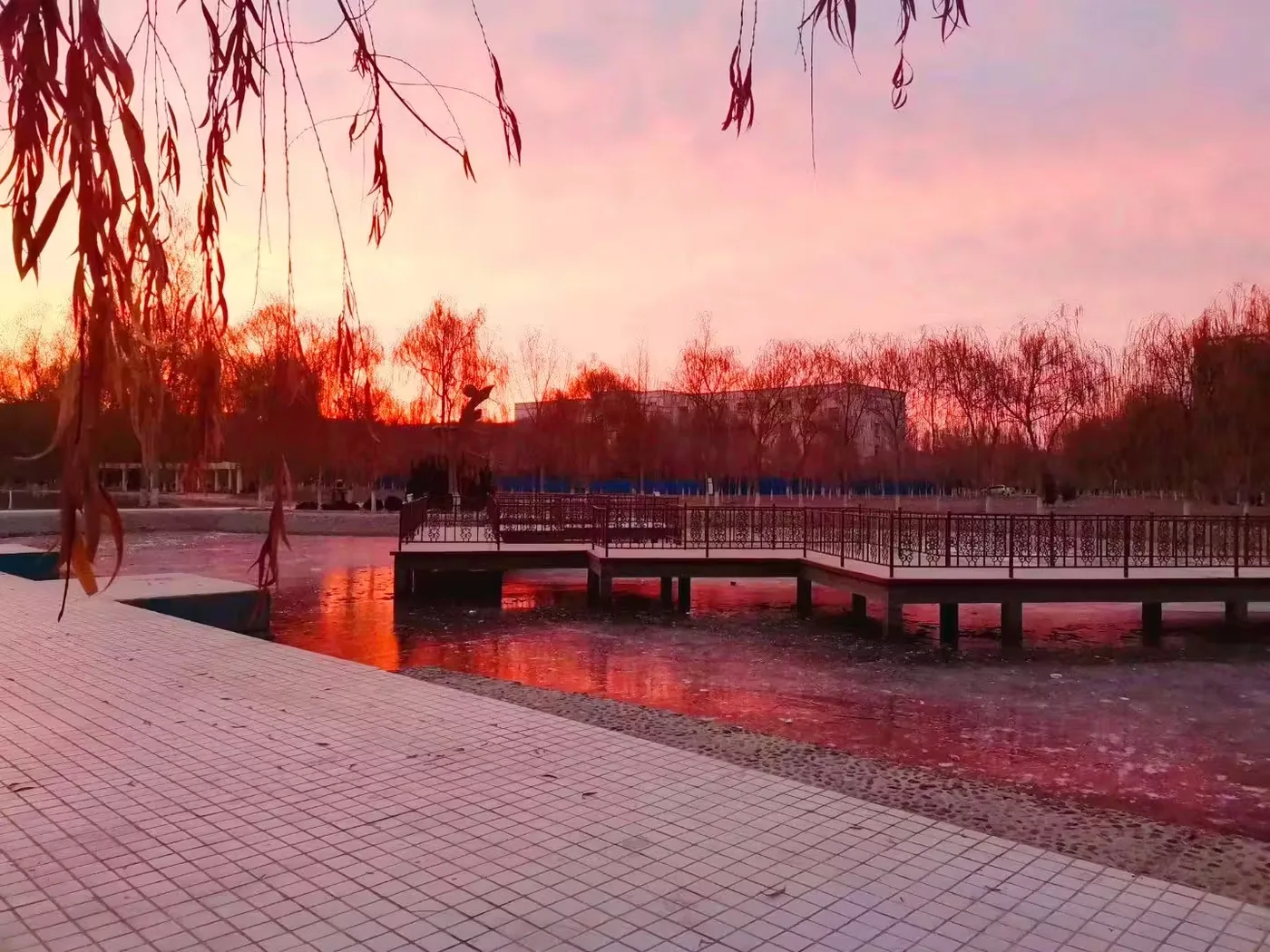 塔里木大学校园实景图片