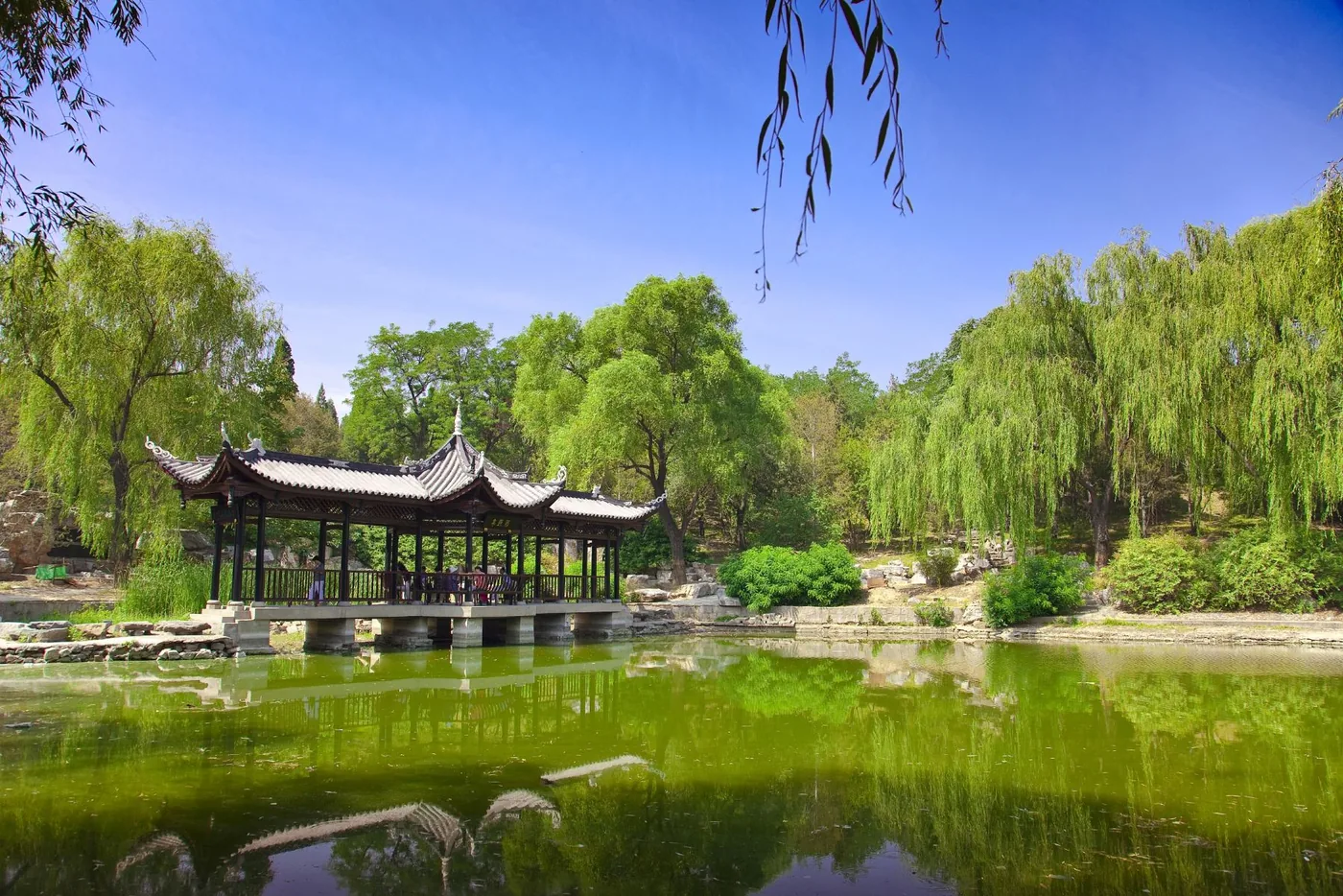 陶然亭公园风景图片