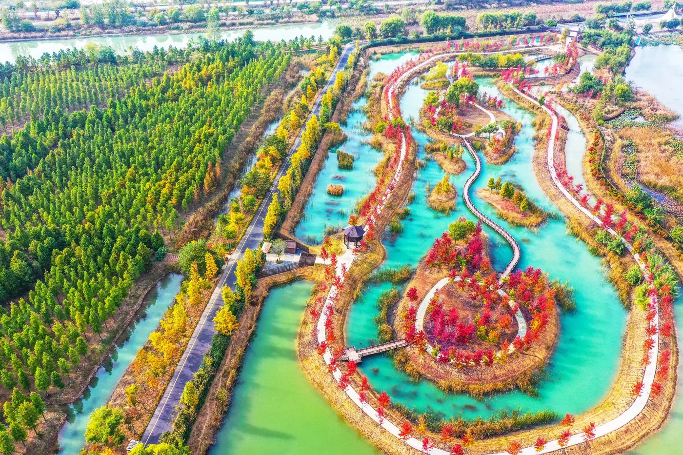 双沟酒文化旅游区风景图片