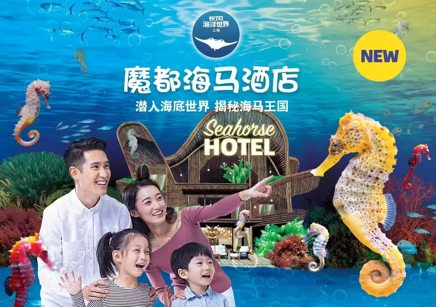 长风海洋世界风景图片