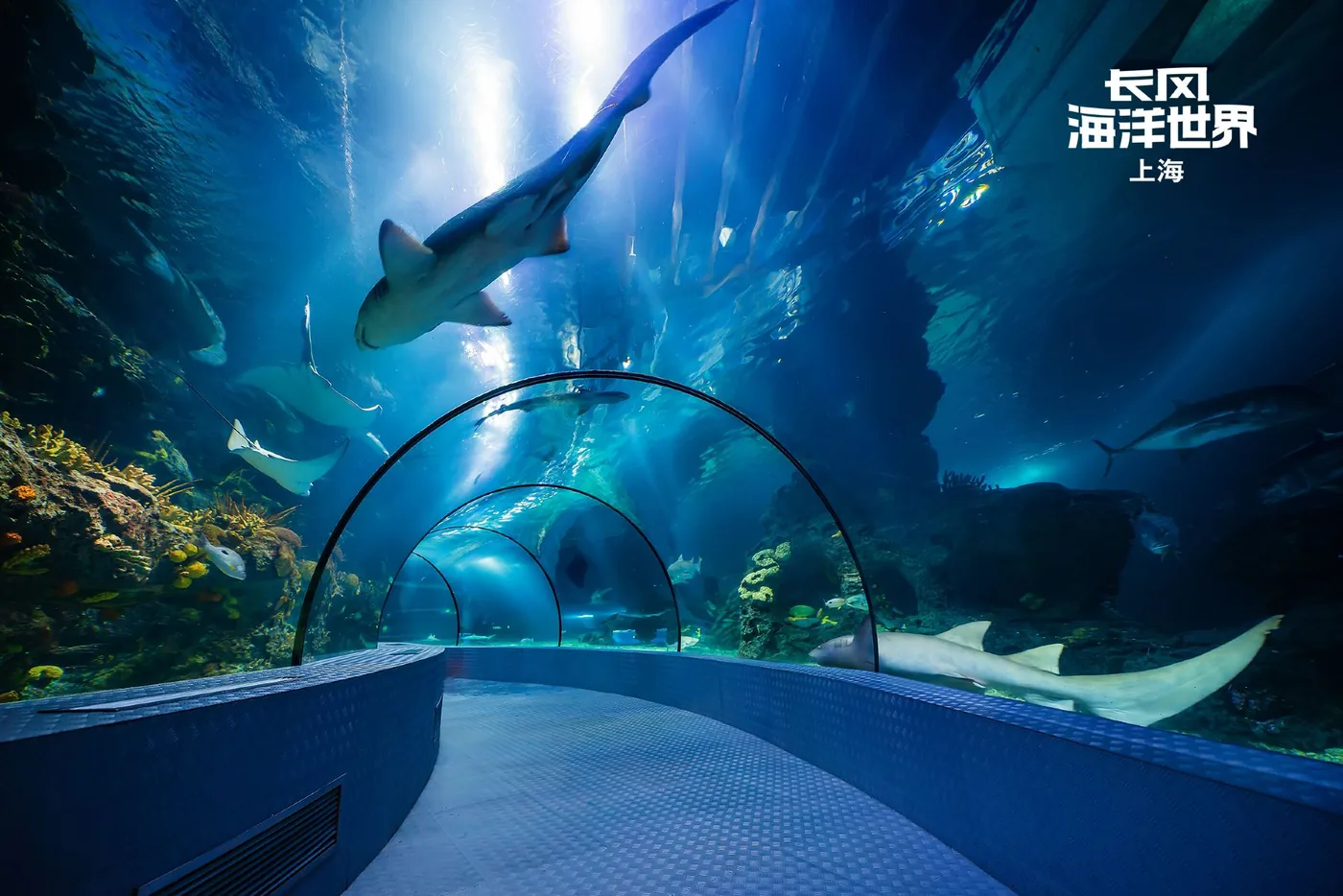 长风海洋世界风景图片
