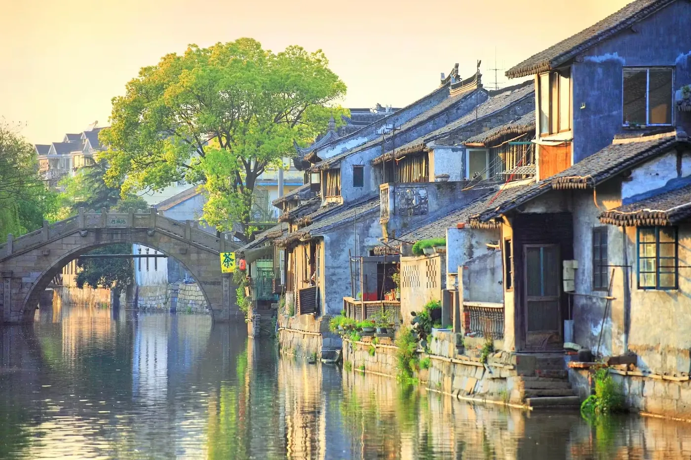 枫泾古镇风景图片