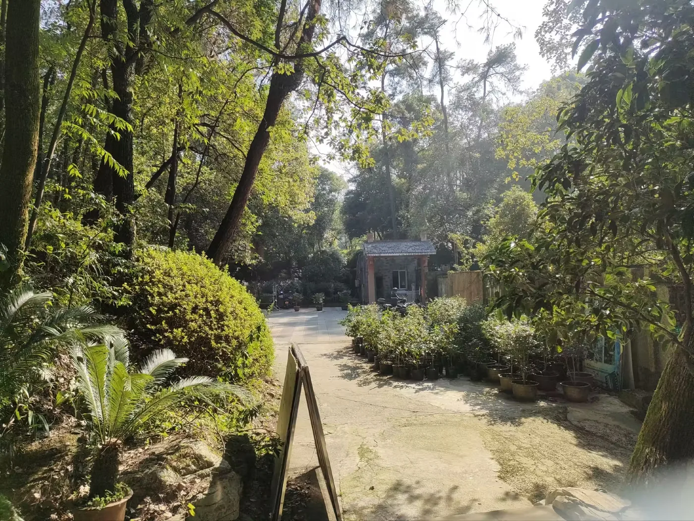 南山植物园