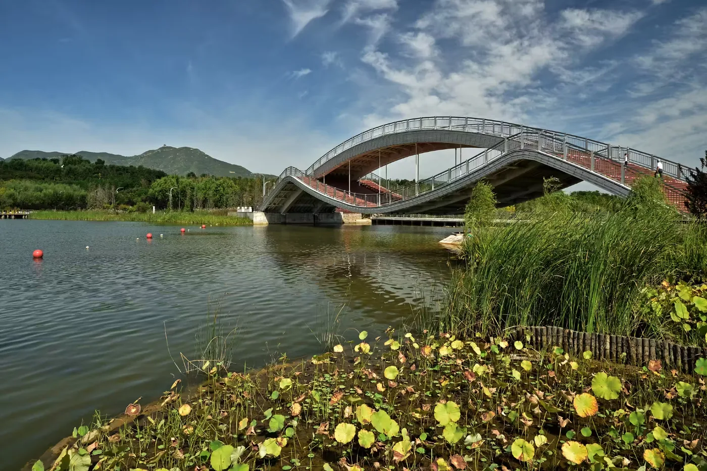 龙泉湖湿地实景图片