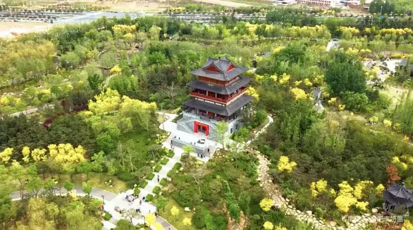 北戴河湿地公园实景图片