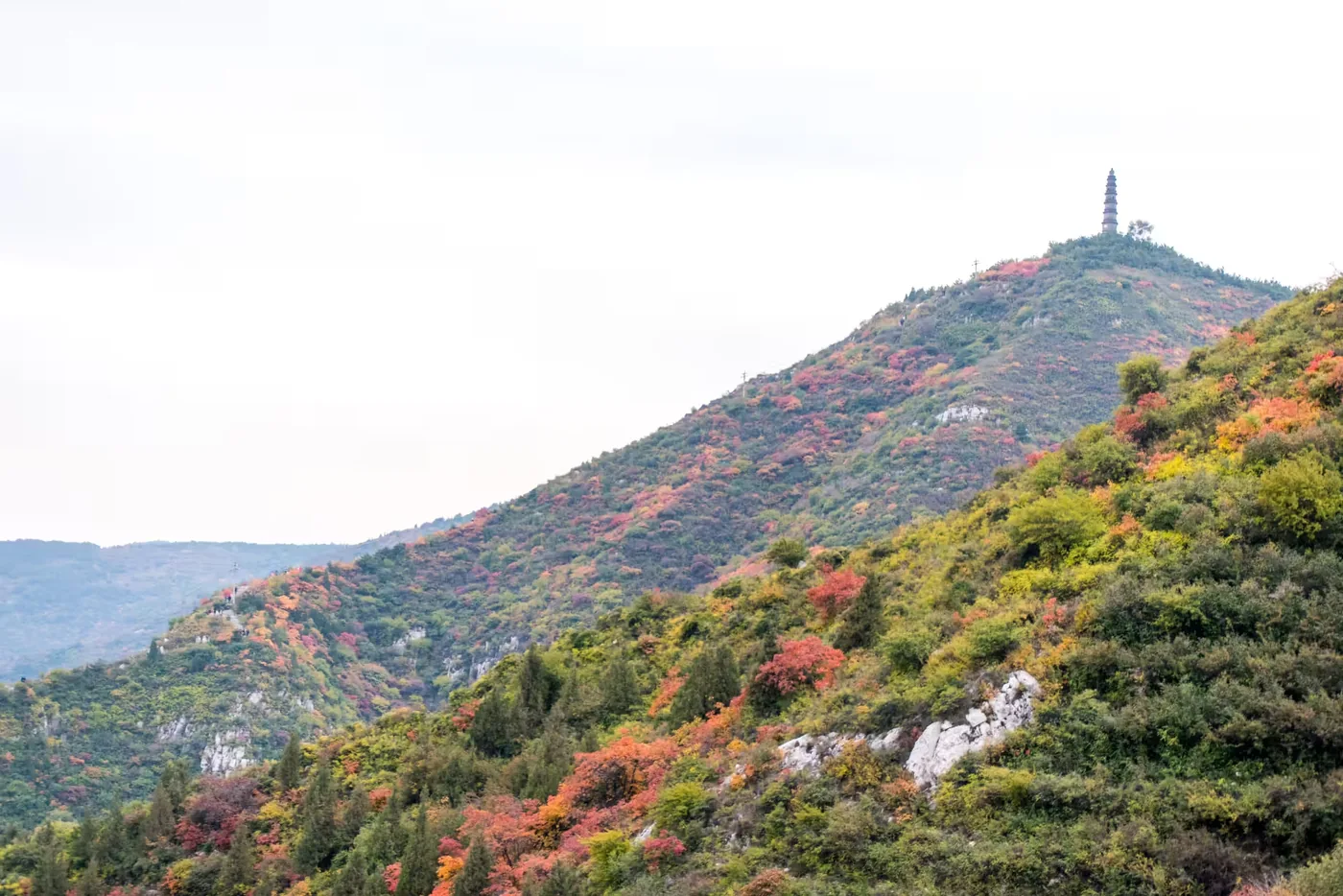 崛围山风景区