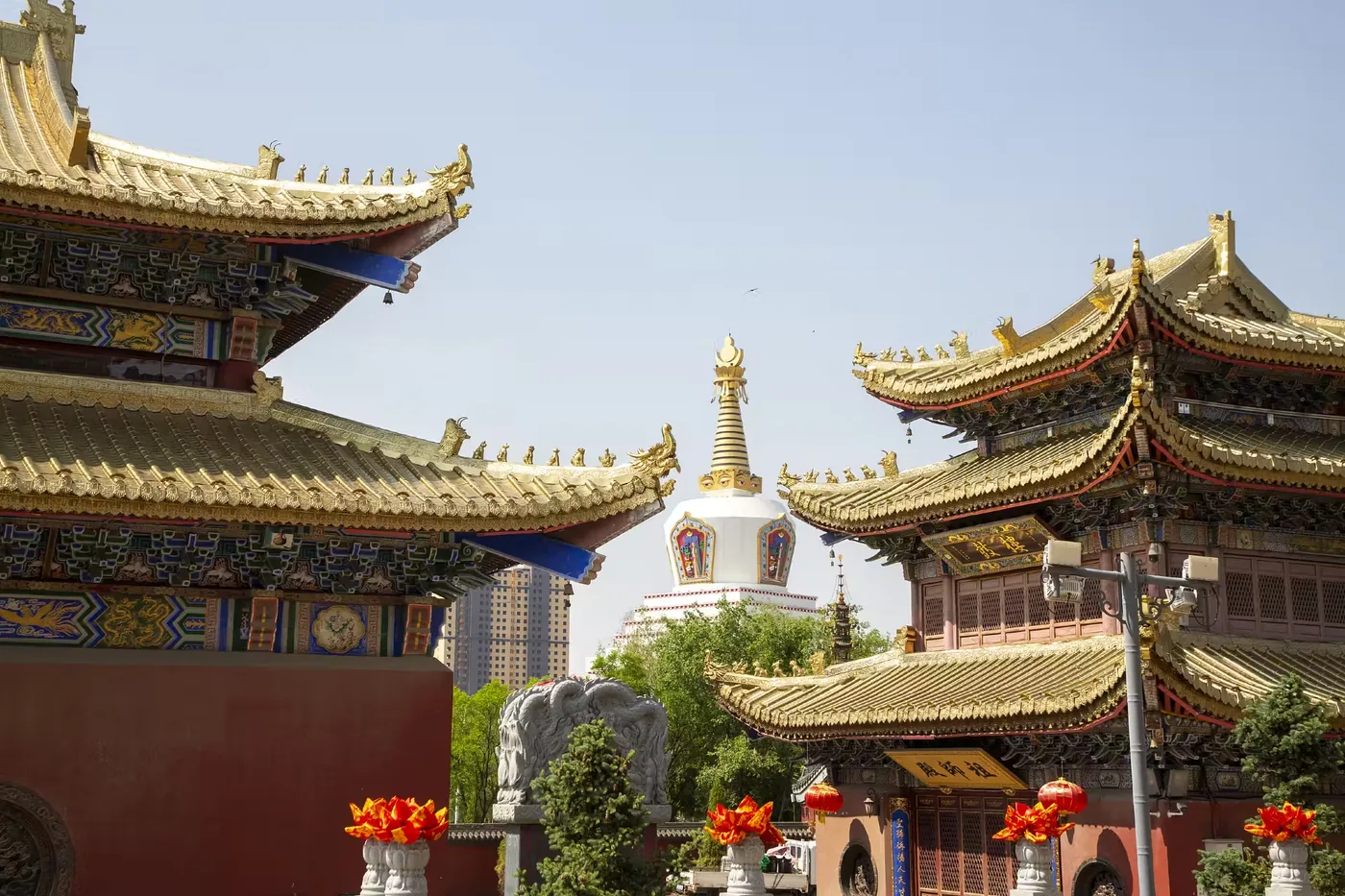 宝尔汗佛塔实景图片
