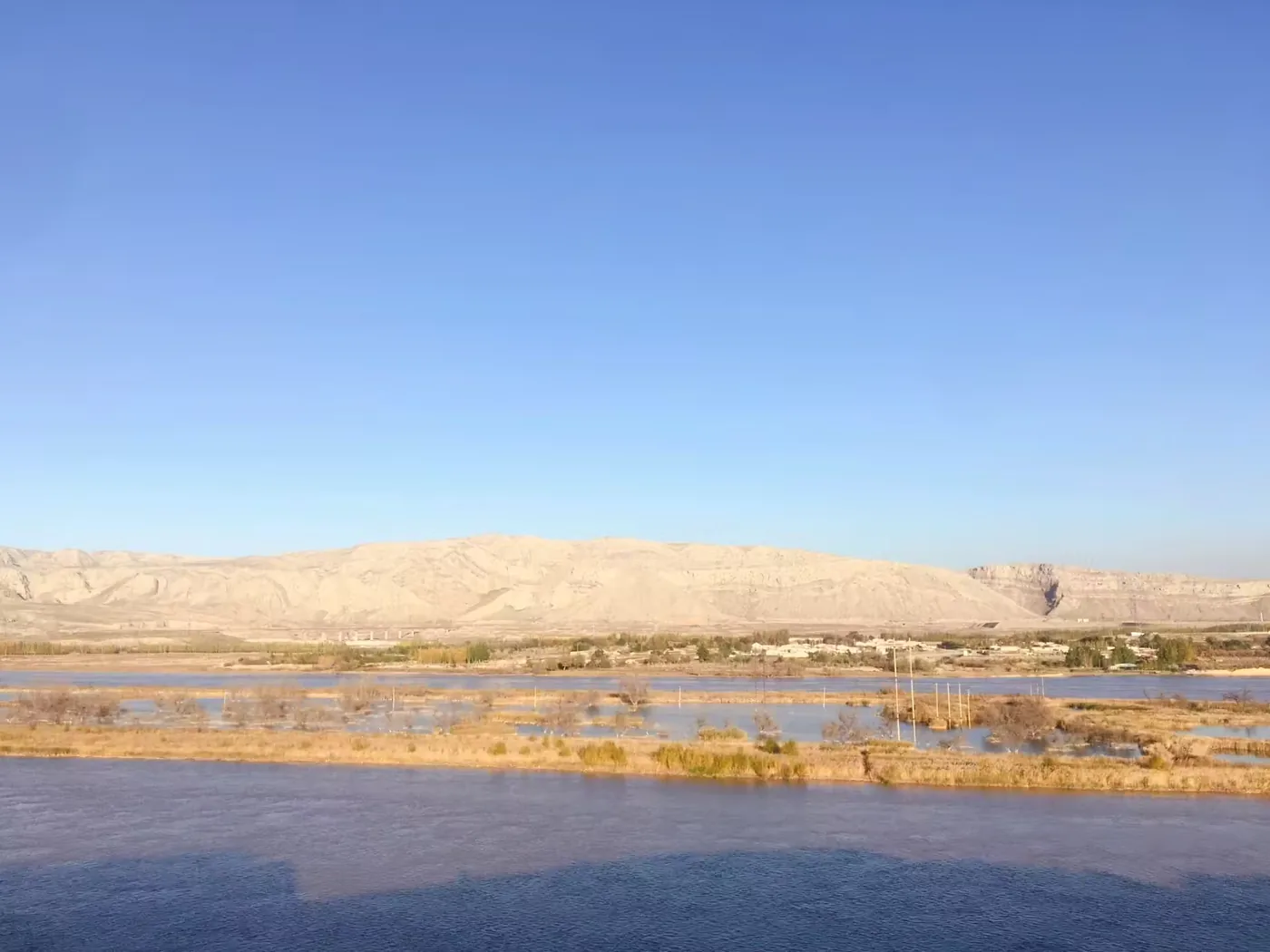 胡杨岛