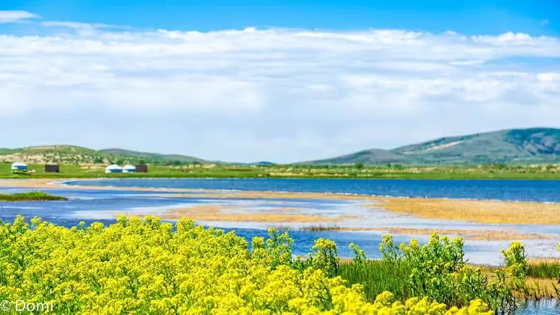 上都湖