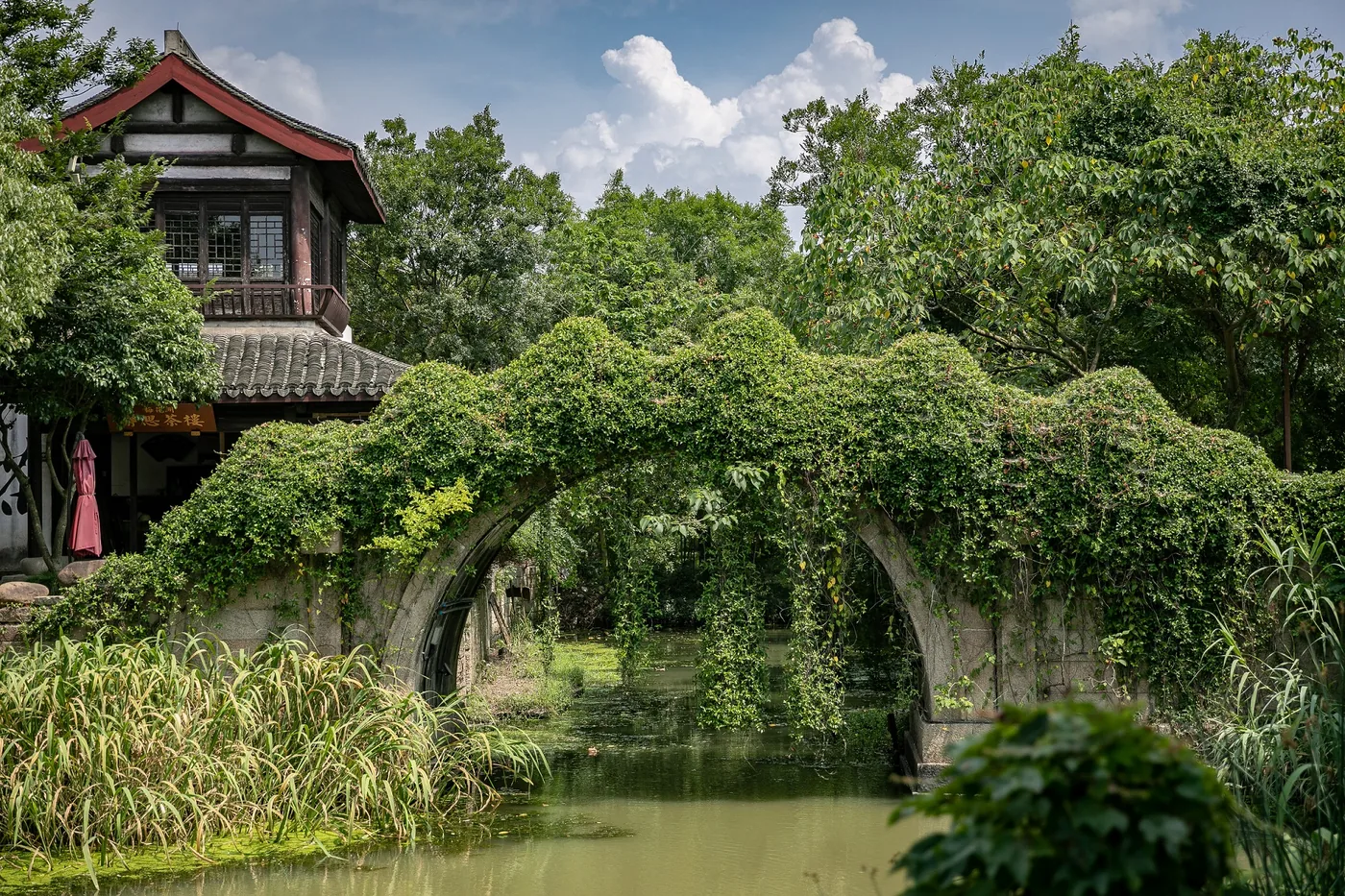 梅花洲景区实景图片