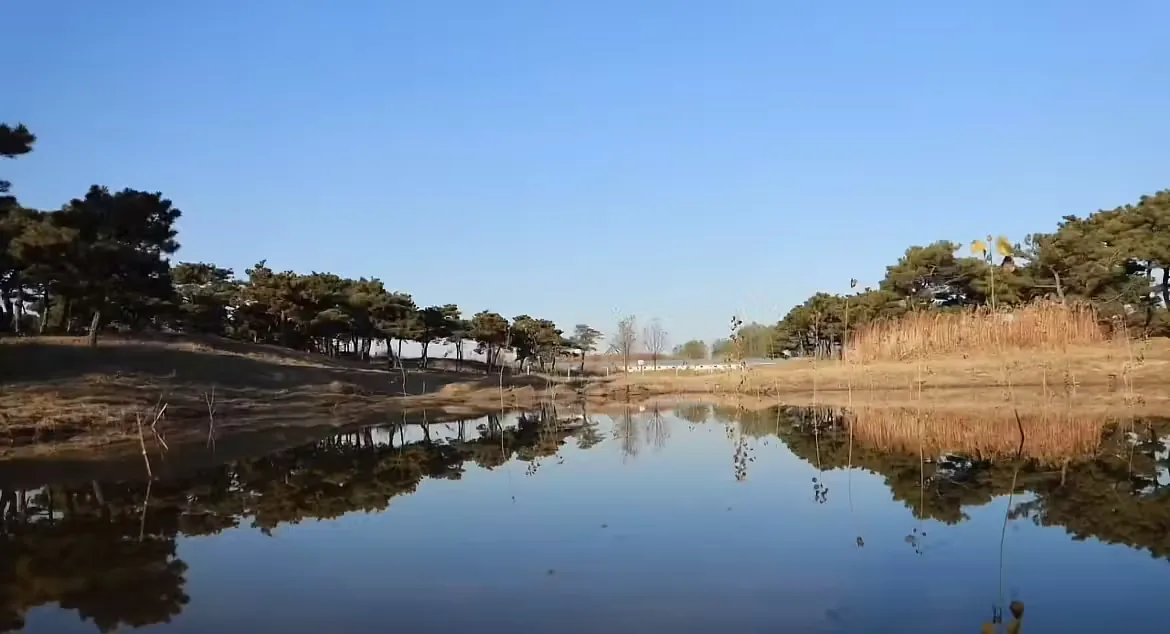 少帅陵风景图片