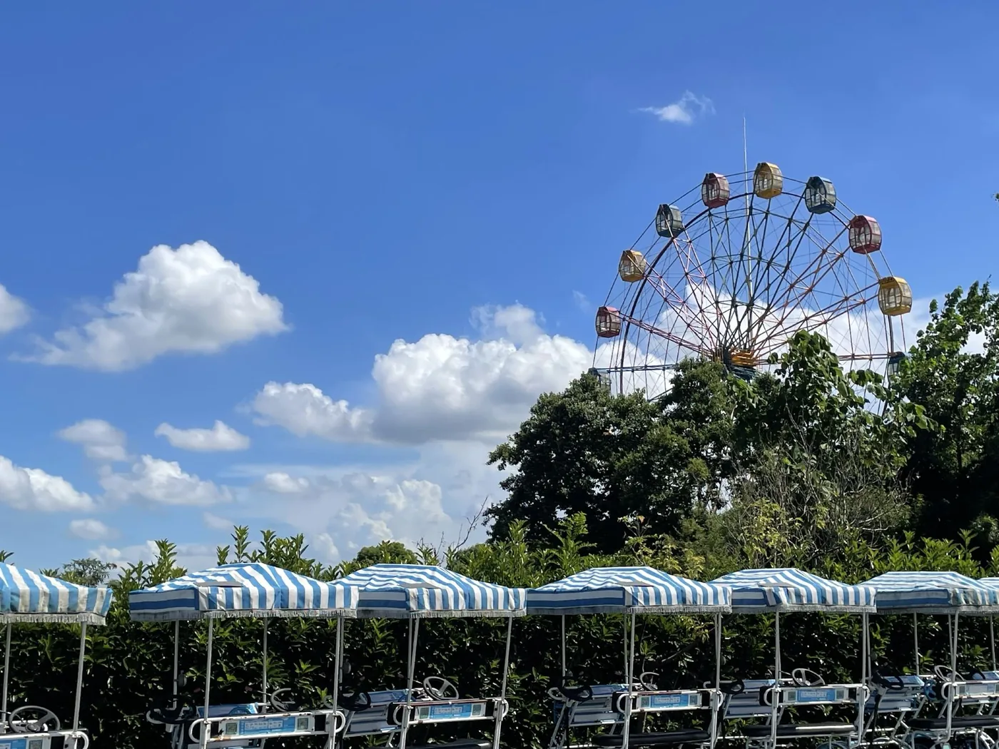 湘家荡旅游度假区实景图片
