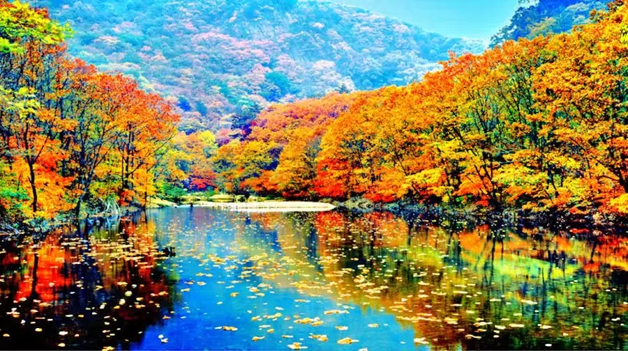 蒲石河森林公园风景图片