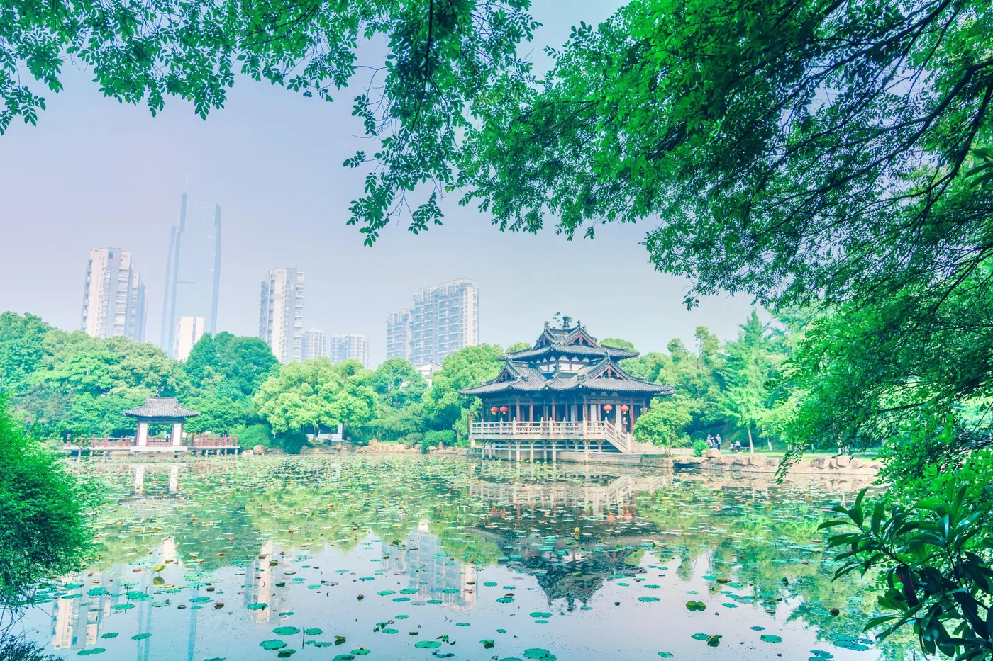 飞英公园实景图片