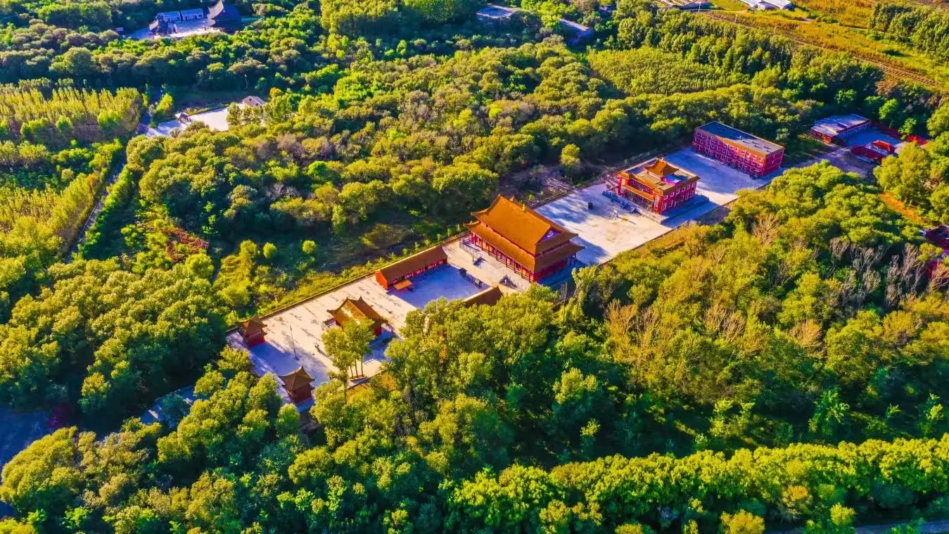 盘锦森林公园风景图片