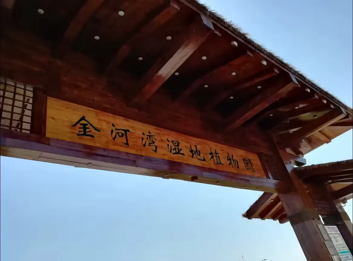 金河湾湿地公园