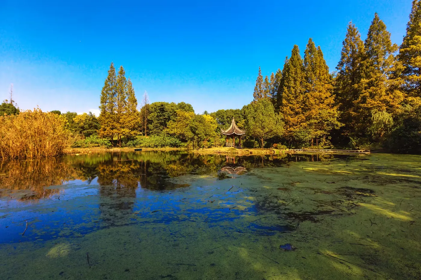 南京白马公园实景图片
