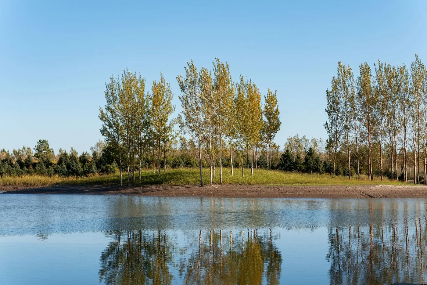 无锡贡湖湾湿地公园风景图片