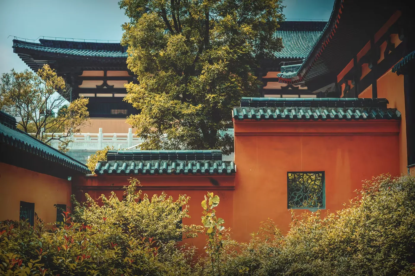 大洞山茱萸寺