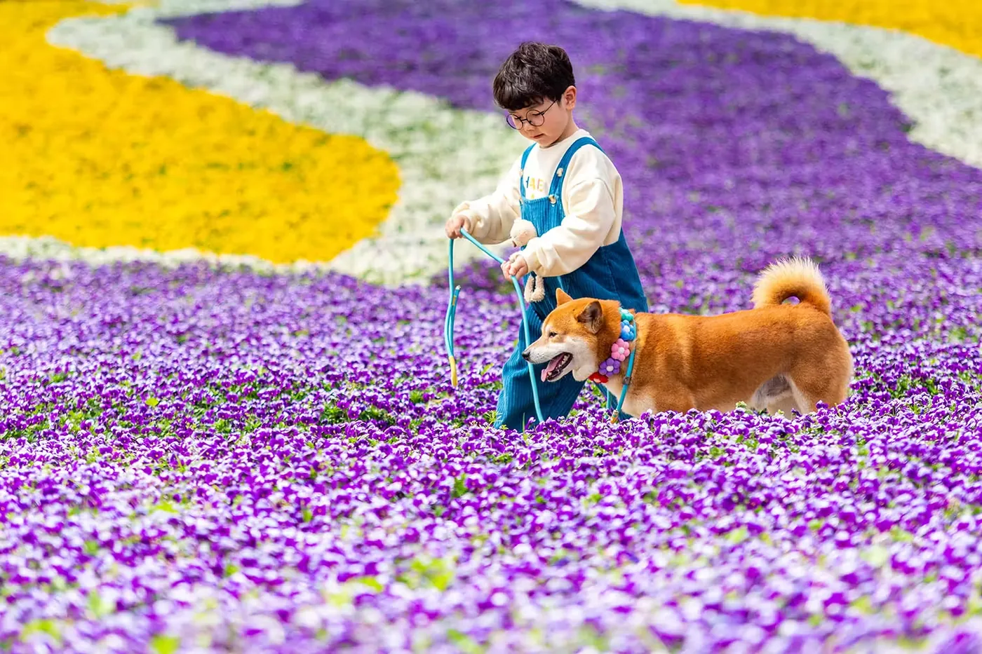 花谷奇缘实景图片
