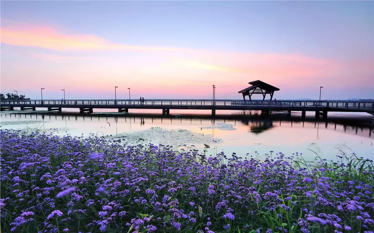 阳澄湖半岛旅游度假区实景图片